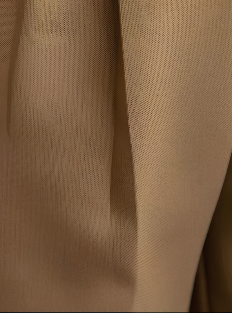 Pantalon Tailleur pour Hommes