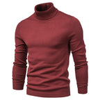 Pull à col roulé pour homme avec un col roulé