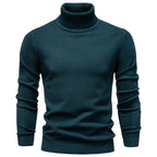 Pull homme col roulé