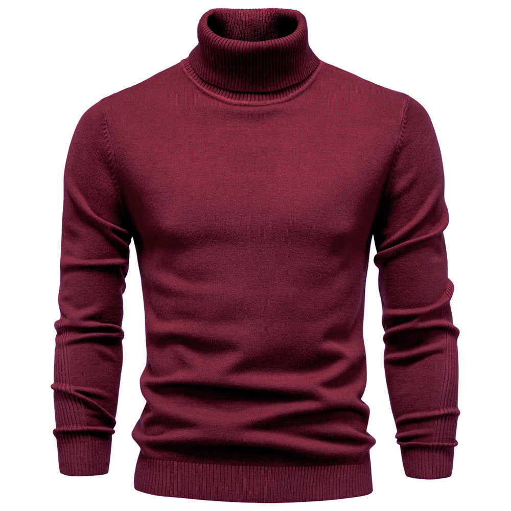 Pull homme col roulé